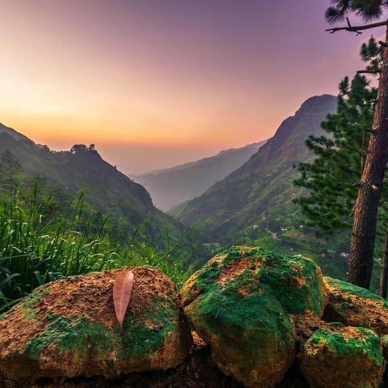 The Ella Valley Екстер'єр фото